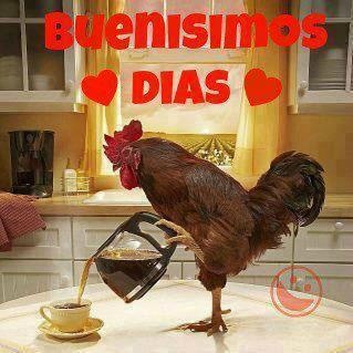 cafe_de_buenos_dias